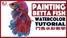 How to Paint Betta Fish using Watercolor 2 Realistic Animal Painting Tutorial Windy Shih