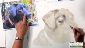 How to Paint a Dog39s Face with Watercolor Artist Nancy Couick Part 1