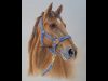 How to Paint a Realistic Horse in Watercolor