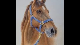 How to Paint a Realistic Horse in Watercolor