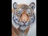 How to Paint a Tiger in Watercolor