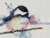 Speed Painting Loose Watercolor Chickadee