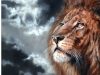 Speed painting How to paint a Lion Time Lapse tutorial oil and acrylic by Lachri