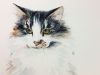 Watercolor Cat Painting Tutorial