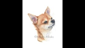 Watercolor Painting Tutorial Chihuahua Dog