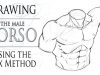 Drawing the Male Torso Boxing in Method