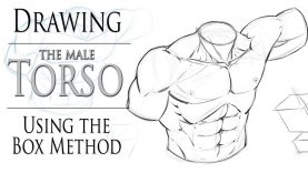 Drawing the Male Torso Boxing in Method