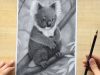 Koala Charcoal Pencil Drawing Nature Wildlife Art