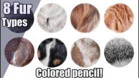 The ULTIMATE colored pencil FUR tutorial Sea lion lemur and more