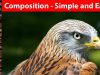 Composition in art simple and easy wildlife art