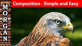 Composition in art simple and easy wildlife art