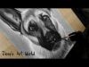 Photo realistic German Shepherd drawing time lapse video
