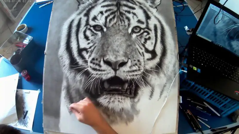 How To Draw A Tiger - Realistic Pencil Drawing - Jon Harris - Paintingtube