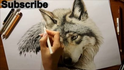 The Most satisfying Animals drawing videos On Youtube