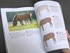 CP Horses A Complete Guide to Drawing Horses in Colored Pencil