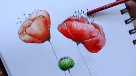How to Overcome Watercolour Block Easy Poppy Tutorial