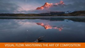 Visual Flow Mastering the Art of Composition with Ian Plant