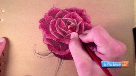 How to Draw a Rose with Colored Pencils