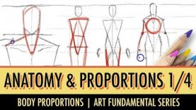 Art Fundamentals Basic Anatomy amp Proportions 14