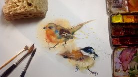 Birds Watercolor Speed drawing