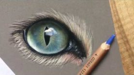 Cat eye in pastel pencil and soft pastel
