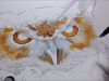 Step By Step Great Horned Owl Pencil Sketch amp Dry Brush Oil Painting