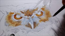 Step By Step Great Horned Owl Pencil Sketch amp Dry Brush Oil Painting