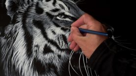 The making of ‘Shadow’ tiger painting