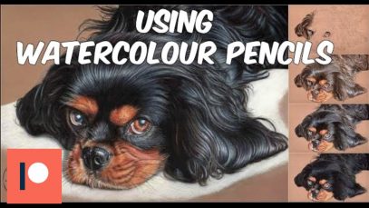 Watercolour Pencil Underpainting Tutorial Dog portrait
