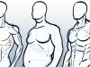 How to Draw Different Body Types