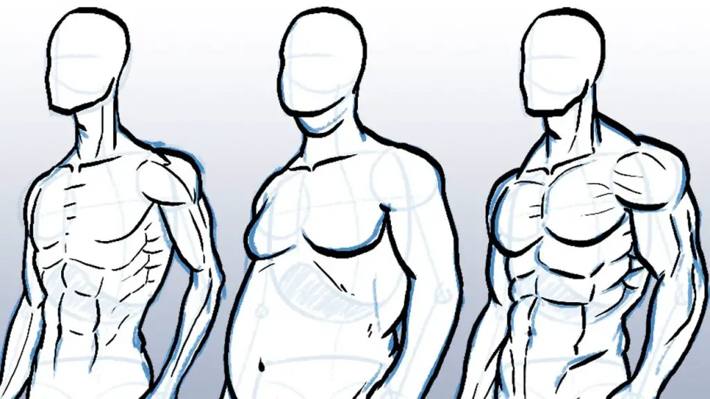 How To Draw, Female Body Proportions - PaintingTube