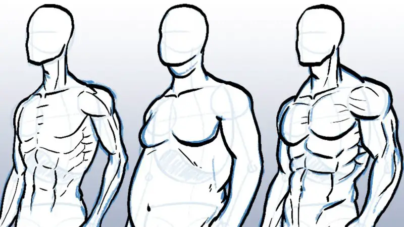 How To Draw The Male Body Oh So SIMPLE - PaintingTube