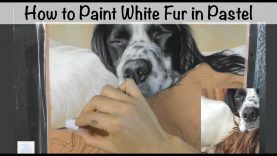 How to Paint White Fur in Soft Pastel