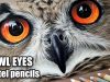 Pastel tutorial How to draw OWL eyes