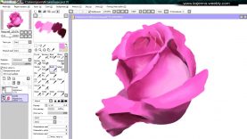 How to draw a ROSE Digital painting by Kajenna