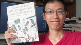 Book Review Laws Guide to Nature Drawing and Journaling