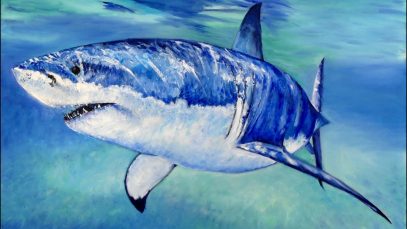 Great White Shark Speed Painting