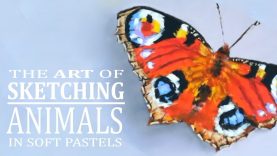 How to draw a butterfly with soft pastels Step by step tutorial for