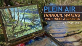 Plein Air Painting the Waters Edge Tranquil Waters with Trees amp Brushes