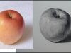 Basic Drawing How to Draw Fruits Apple