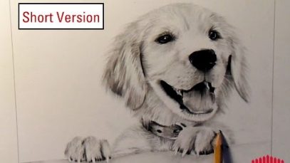 Pencil Drawing Dog 1 How to draw fur Short Version