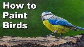how to paint birds in oil painting tutorial blue tit time lapse