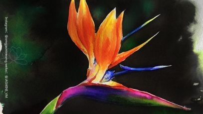 watercolor strelitzia （bird of paradise） painting