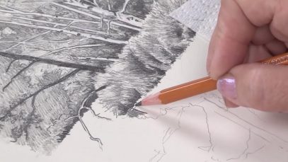 Landscape Drawing Basics DVD with Claudia Nice