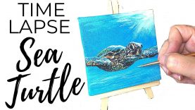 Sea Turtle Acrylic Painting Time Lapse On Mini Canvas