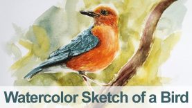Watercolor Painting Bird Demo