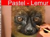 Pastel Animal Pencil Drawing Lemur wildlife art Jason Morgan