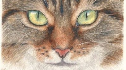 How to Paint a Realistic Cat Face in Watercolor