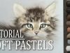 How to draw a kitten with soft pastels Easy drawing tutorial