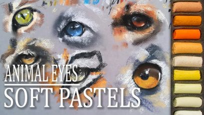 How to draw animal eyes with soft pastels
